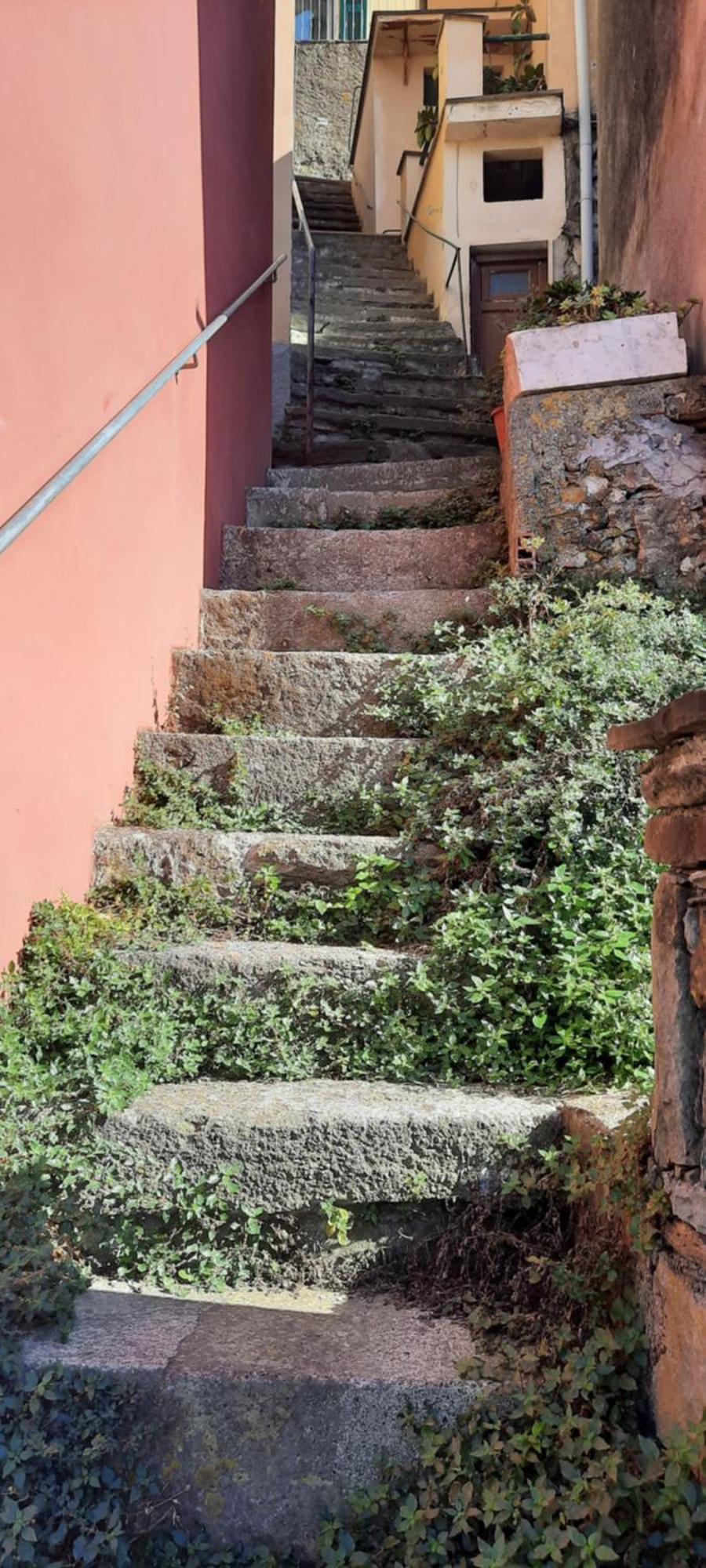 Olimpo Affittacamere Manarola Bagian luar foto